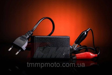 Зарядное устройство до 20A.h. ( зарядный ток 1000mA ) 10q67 фото