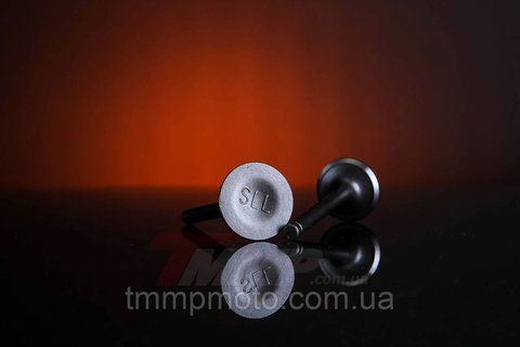 Клапана YABEN-150 см3 1w10 фото