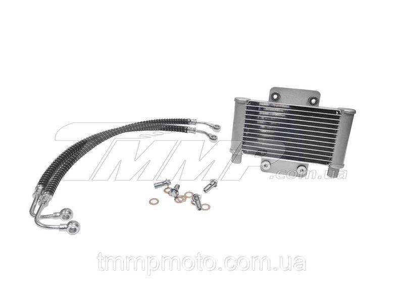 Двигун для квадроциклу ATV-150куб 1P57QMJ-D (ATV150) + виблискуватий радіатор 618414077 фото