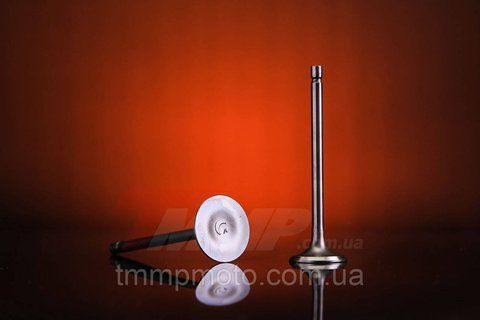 Клапана Minsk ВАЙПЕР CG 200 1fff156 фото