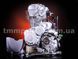 Двигатель в сборе Minsk-Viper CB 150cc/150см3 1fff102 фото 2