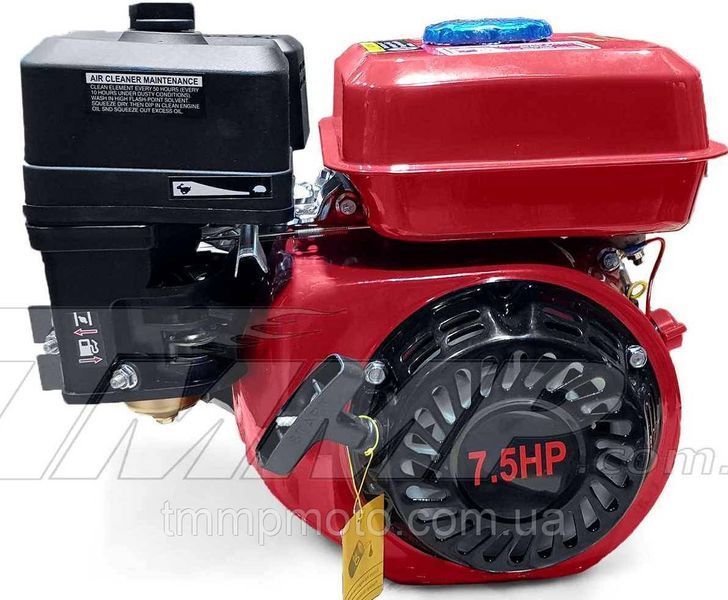 Двигун 170F d = 20 mm під шліц (7,5 HP, датчик оливи, паперовий фільтр) 741741012 фото